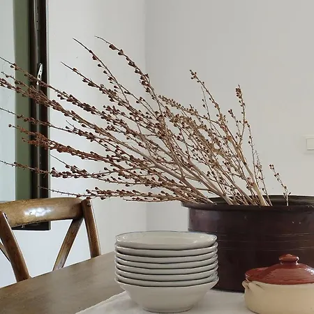 Akakies Summer House With Breathtaking Aegean View Vila Aspro Chorio