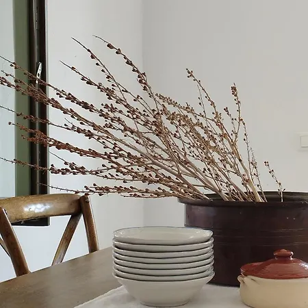 Akakies Summer House With Breathtaking Aegean View Villa Aspro Chorio